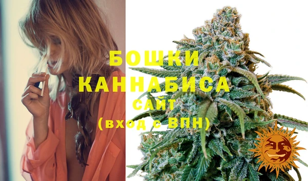 мдпв Богородицк