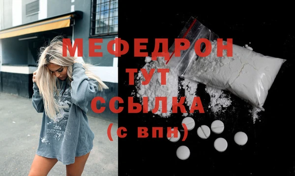 мдпв Богородицк