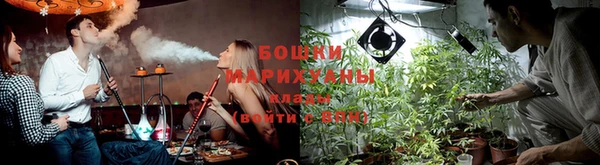 мдпв Богородицк