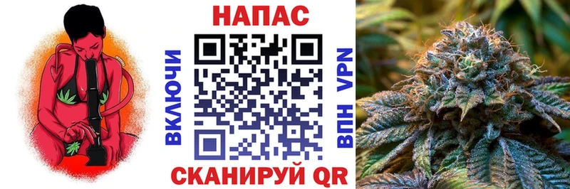 Шишки марихуана THC 21%  Могоча 